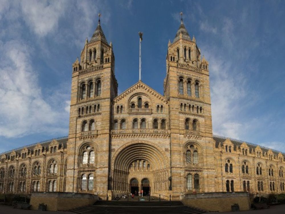 NHM Secrets Tour