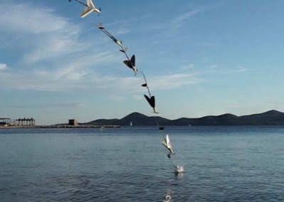 Bio-inspired aerial robotics